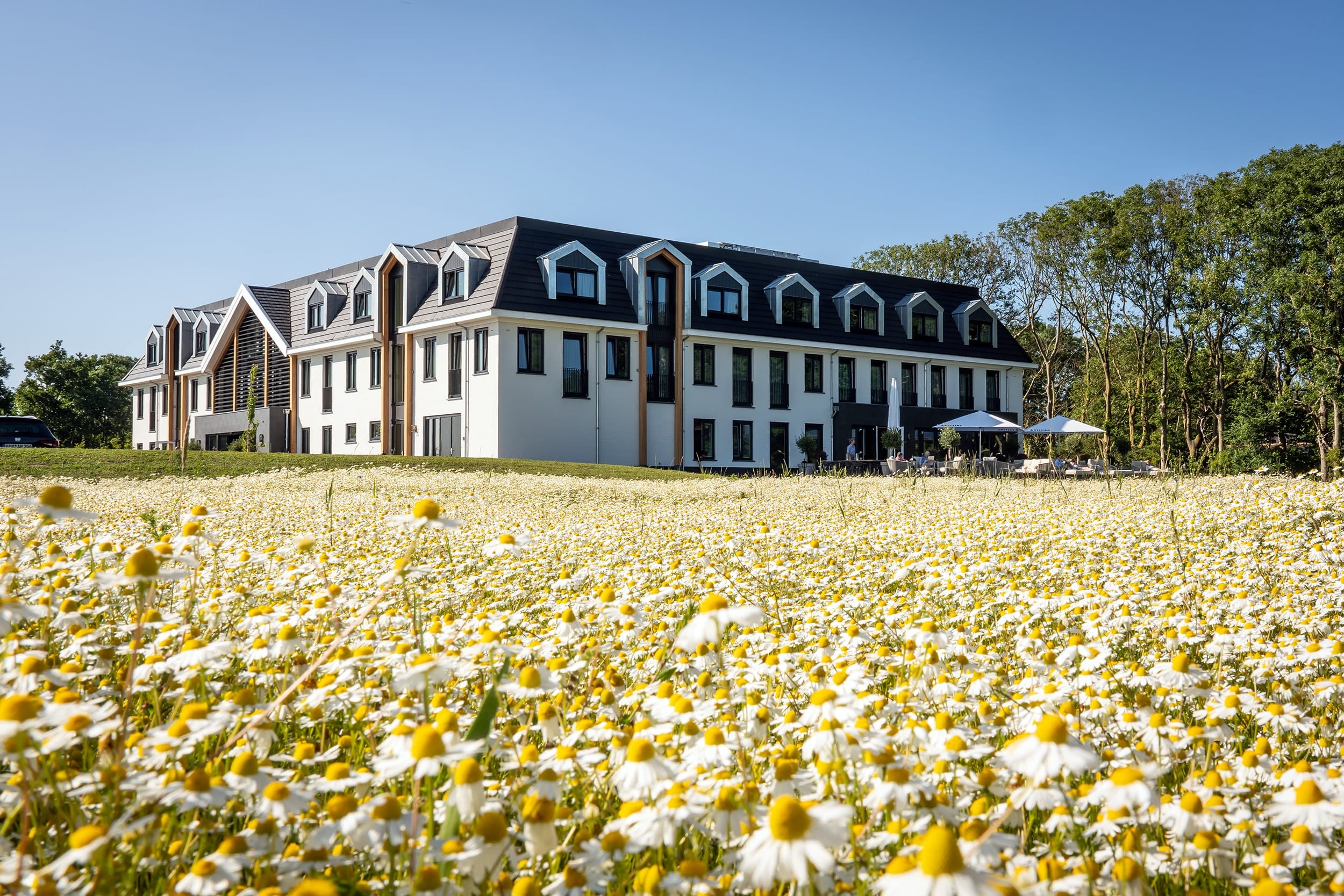 StefanKrofft 27 06 2025 Eilandhotel Buitenom zomer 06